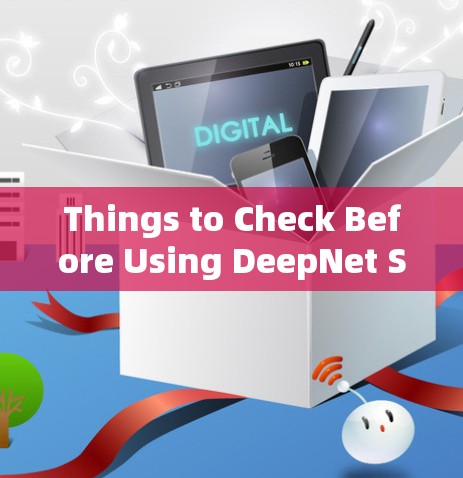 Things to Check Before Using DeepNet Solutions VPN: