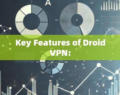 Key Features of DroidVPN: