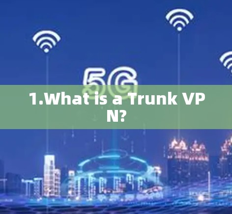 1.What is a Trunk VPN?